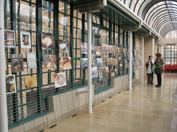 exposition sous la verrière.jpg